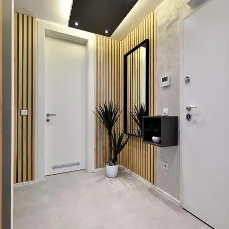 Sigma Exclusive Zara